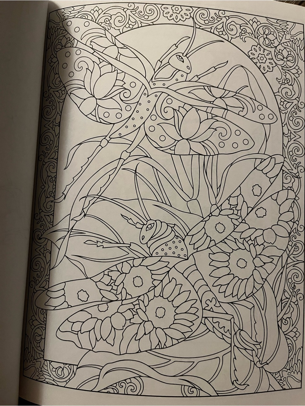 Incredible Insect Designs Coloring Book - Purple & Multicolor - Picture 7 of 10